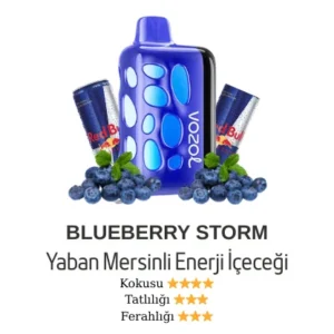 VOZOL 40000 - BLUEBERRY STORM