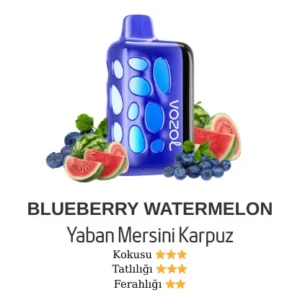 VOZOL 40000 - BLUEBERRY WATERMELON