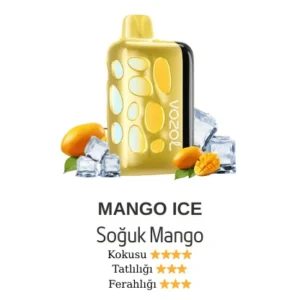 VOZOL 40000 - MANGO İCE