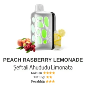 VOZOL 40000 - PEACH RASSBERRY LEMONADE