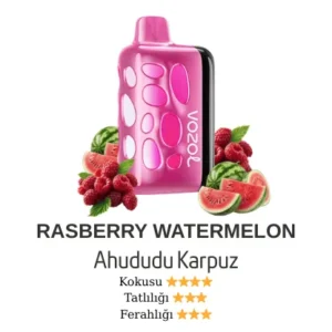VOZOL 40000 - RASSBERRY WATERMELON