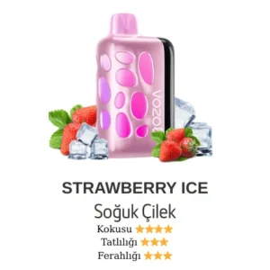 VOZOL 40000 - STRAWBERRY İCE