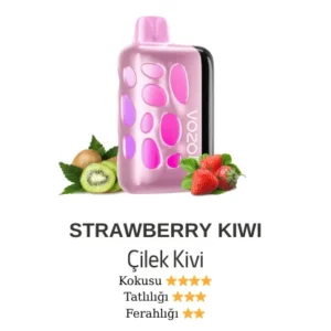 VOZOL 40000 - STRAWBERRY KİWİ